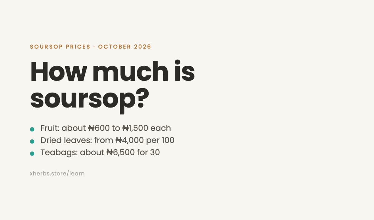 How Much Is Soursop in Nigeria? 2026 Prices for Fruit, Leaves, Powder and Teabags