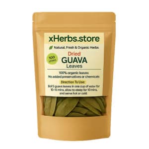 Dried Guava Leaves — on xHerbs Store Nigeria