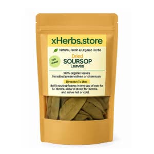 Dried Soursop/Graviola Leaves – 100 leaves — on xHerbs Store Nigeria