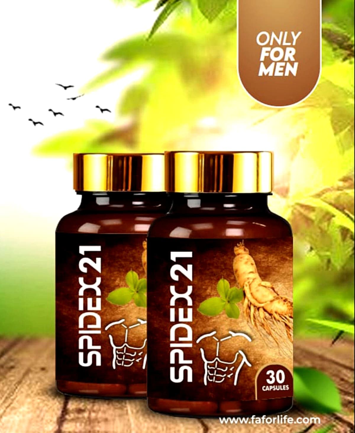 Spidex 21 (Men only) — on xHerbs Store Nigeria