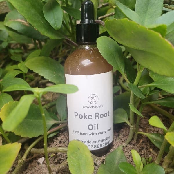 Poke root infused oil. 100ml — on xHerbs Store Nigeria