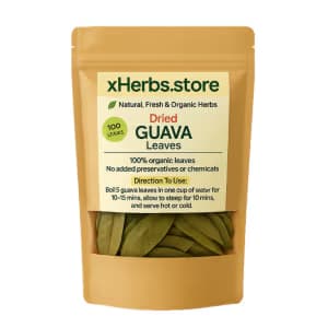 Dried Guava Leaves — from Rivers — on xHerbs Store Nigeria