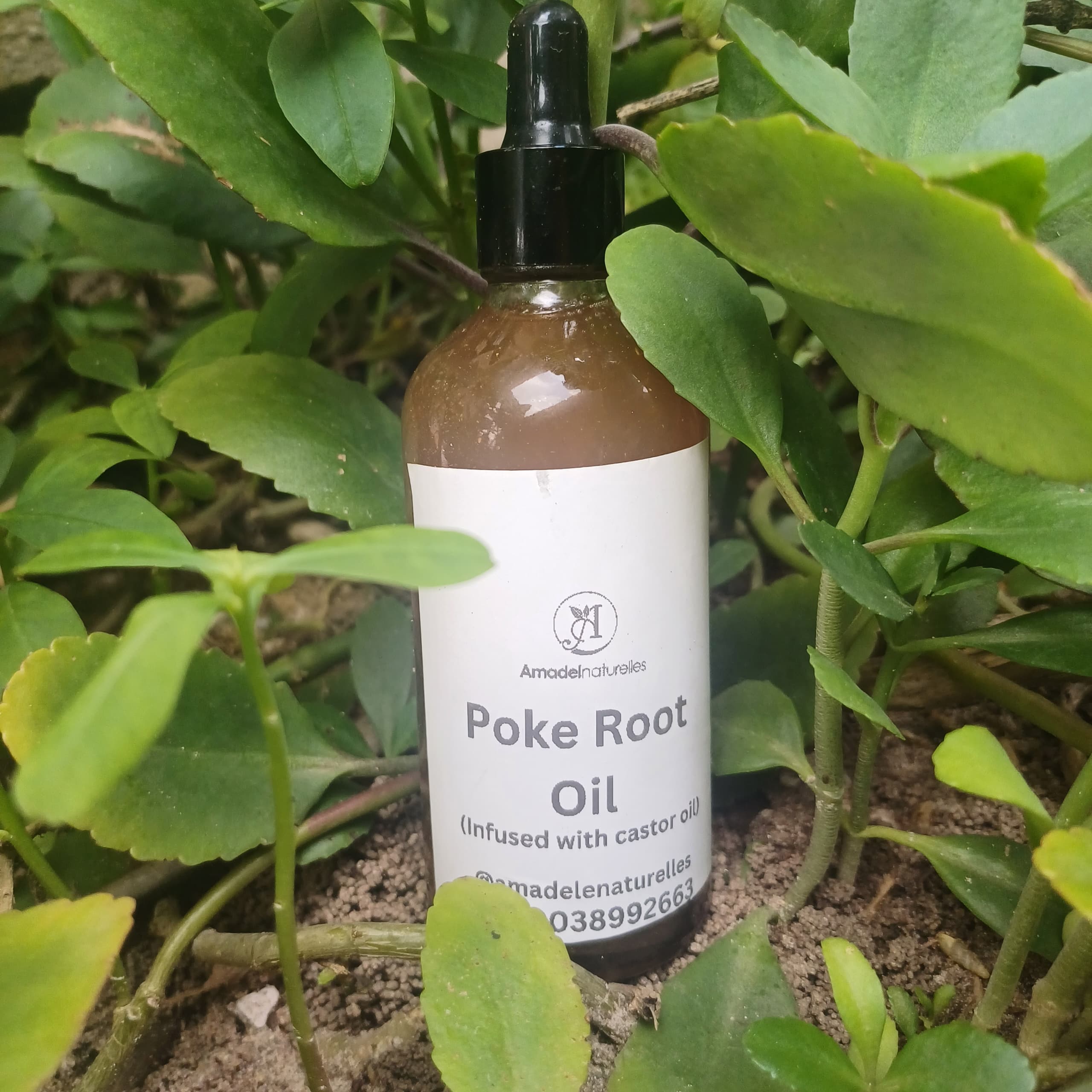 Poke root infused oil. 100ml β on xHerbs Store Nigeria