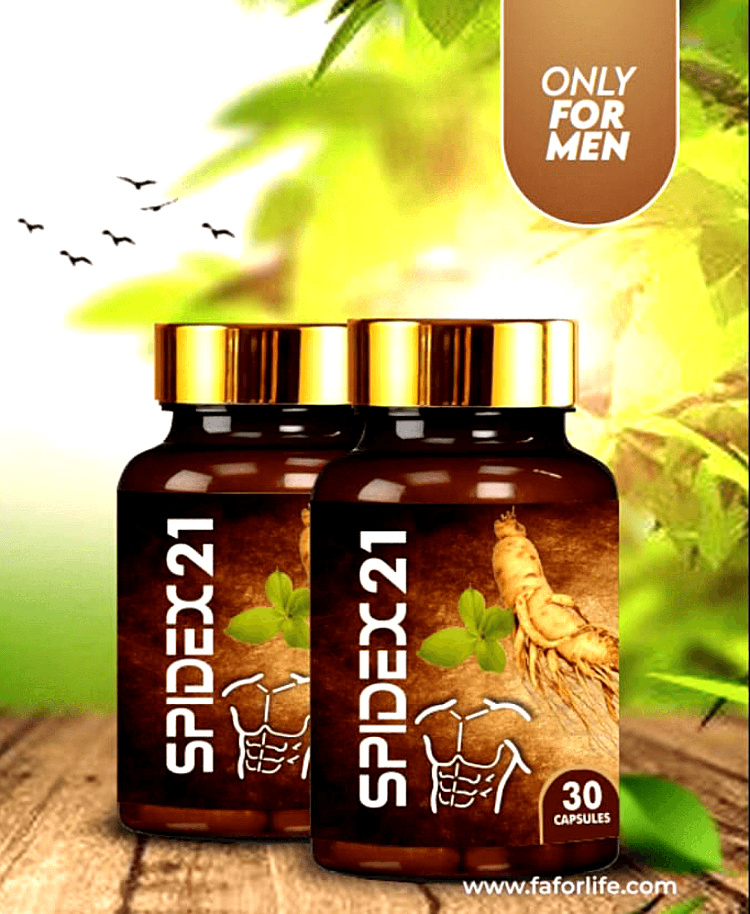Spidex 21 (Men only) — on xHerbs Store Nigeria