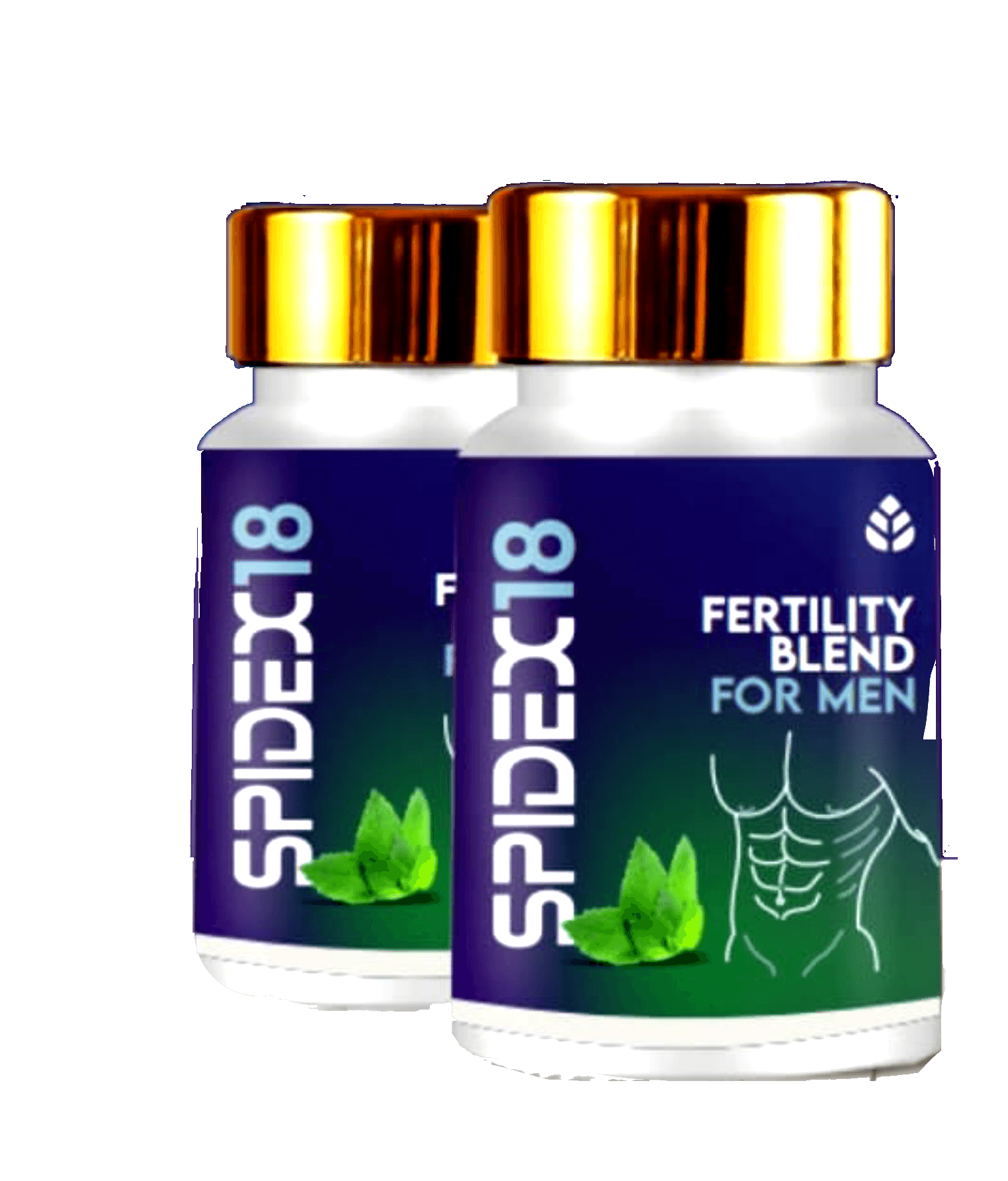 Spidex 18 (Men Only) — on xHerbs Store Nigeria