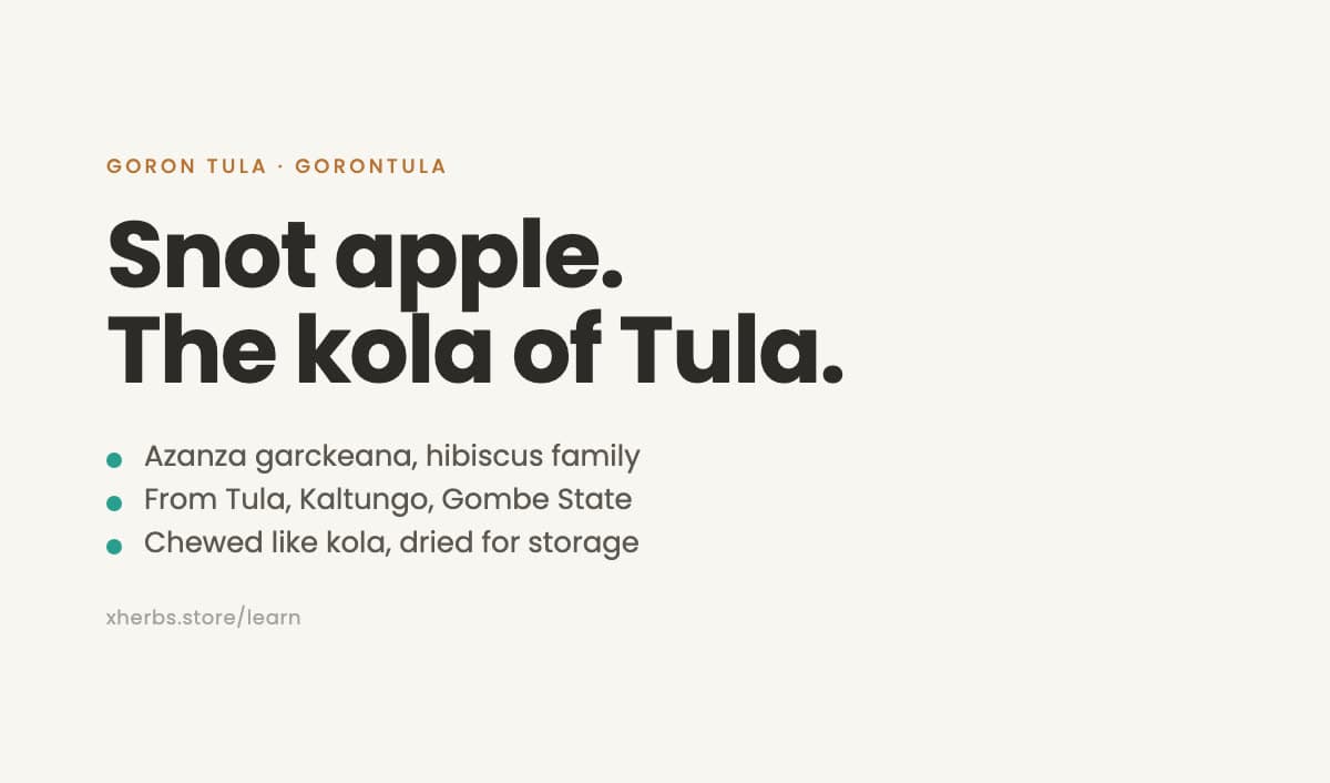 Goron Tula (Gorontula): What It Is, Its Names, Where It Grows and How Nigerians Use It