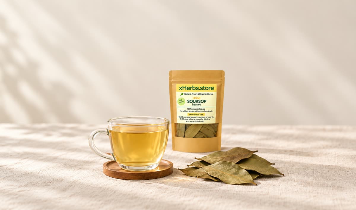 Soursop Leaves Side Effects: Kidneys, Nerves, Medicines and Who Should Avoid Them