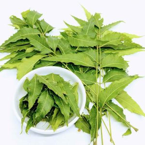 neem leaves